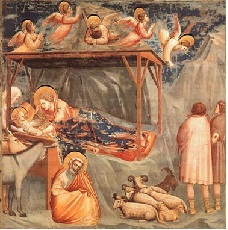 Giotto Natività.jpg